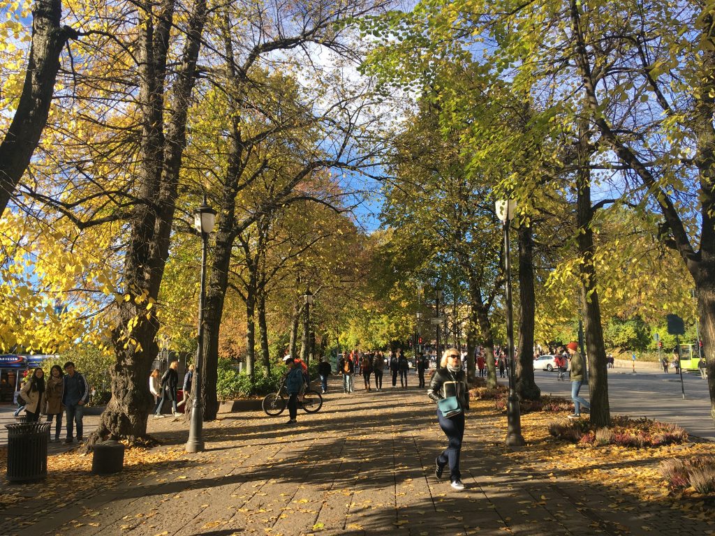 Podzim v Oslu