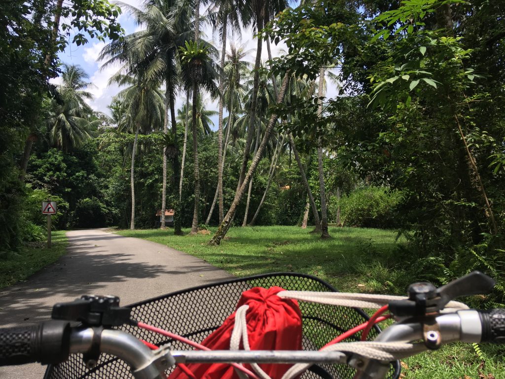 Na kole po Pulau Ubin