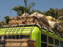 Filipíny - prase na střeše autobusu